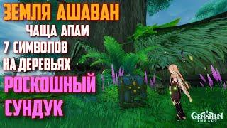 РОСКОШНЫЙ СУНДУК, ВСЕ РУНЫ (ЗНАКИ) НА ДЕРЕВЕ, ЗЕМЛЯ АШАВАН - ЧАЩА АПАМ СУМЕРУ GENSHIN IMPACT 3.0