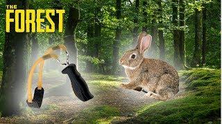 Охота на кроликов! || The Forest