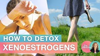 How to Detox Xenoestrogens | Dr. J9 Live