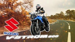 Essai Suzuki V-Strom 800 SE : le choix SIMPLE et EFFICACE ?