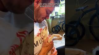 This family found an abandoned baby fennec fox and gave it a warm home