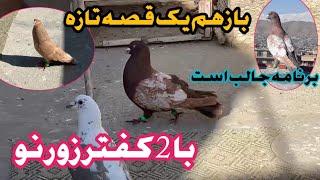 باز هم یک قصه جدید با 2 کفتر نو برنامه جالب است