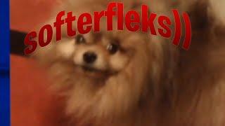 softerfleks))