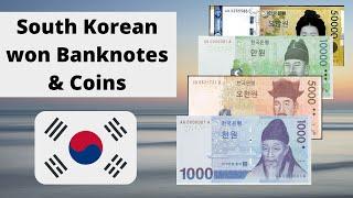 South Korean won current Banknotes & Coins || South Korea Currency || 한국 원화 현재 지폐 및 동전