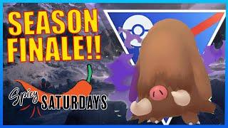 PILOSWINE SHOWS ITS HIGH HORSEPOWER!! SPICY SATURDAY!! | POKÉMON GO BATTLE LEAGUE
