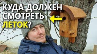 В какую сторону ориентировать леток скворечника? Нужна ли присада?