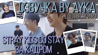 [Русская озвучка by Ayka] Stray Kids  With STAY За кадром｜Неделя STAY 2023