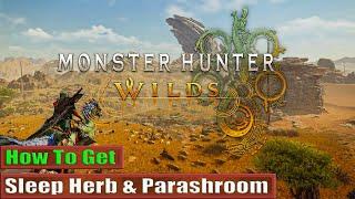 Monster Hunter Wilds How To Get Sleep Herb & Parashroom (Tranq Bomb)