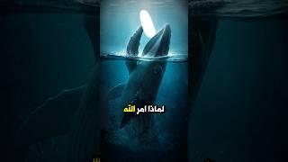 قصة النبي الذي ابتلعه الحوت!