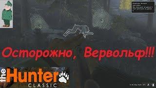 the Hunter Classic. Охота на Вервольфа!(Helloween Event)