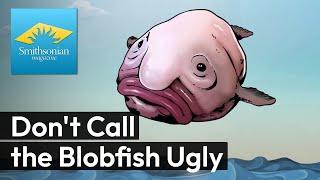 Don't Call the Blobfish Ugly