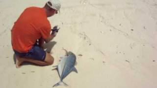 popper fishing