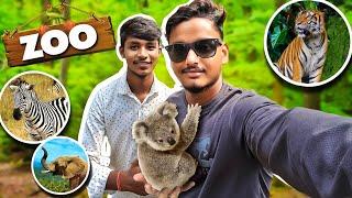 Ranchi Zoo Vlog  || Aaj Fir Popat Ho Gya  || #vlogs @RRajeshVlogs