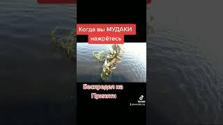 Браконьерский беспредел на Припяти