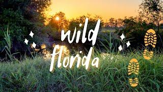 Things To Do in Lakeland, Florida and near Tampa--Circle B Bar Reserve HIKE!