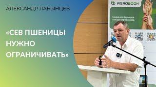 «Сев пшеницы нужно ограничивать»: как сохранить рентабельность в сезоне 2024/25 |Александр Лабынцев