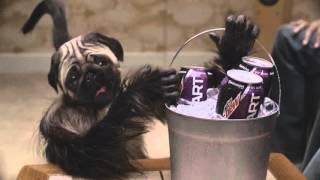 Puppy Monkey Crack Baby