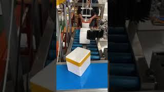 Automatic foam box tape sealing closing machine