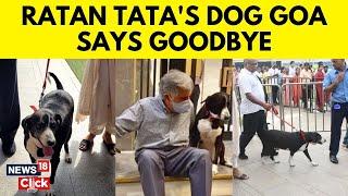 Ratan Tata’s Beloved Furry Friend Dog ‘Goa’ Pays Him Final Tribute At NCPA | N18V