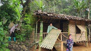 Single mom builds a bamboo house alone to start a new life, forages wild figs to sell