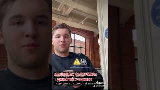 мошенник