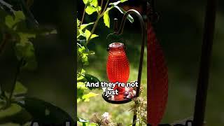 A gift for mom Muse Garden Blown Glass Hummingbird Feeder - Vibrant Colors for Garden Decor
