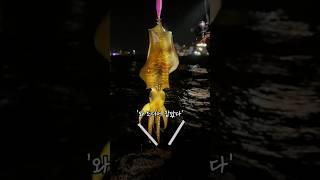 무늬오징어 맛있게 먹는 방법