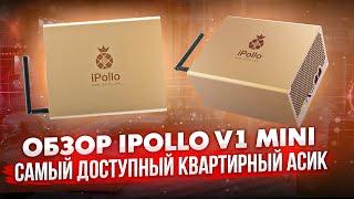 ОБЗОР IPOLLO V1MINI | САМЫЙ ДОСТУПНЫЙ КВАРТИРНЫЙ АСИК | ШУМ | ДОХОДНОСТЬ