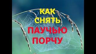 Как Снять Паучью порчу