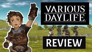 Is Various Daylife Worth it? | Review