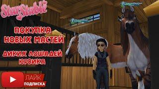 Покупаем НОВЫЕ масти Диких Лошадей Юрвика в Star Stable Online | Диколесье