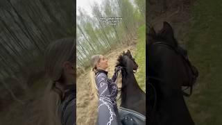 Let’s gooo  #horse #equestrain #short