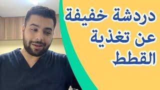 نقاط مهمة حول تغذية القطط