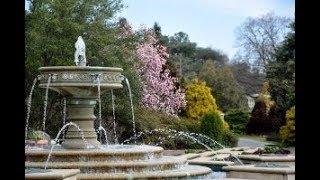 I Do Visits the Beautiful Wedding Venue, Norfolk Botanical Garden