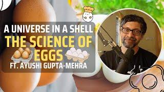 A Universe in a Shell: The Science of Eggs