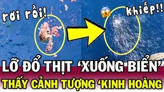 Rơi THỨC ĂN xuống biển, thanh niên ỚN LẠNH khi thấy nghìn con cá LAO TỚI XÂU XÉ | Tin Việt Độc Lạ