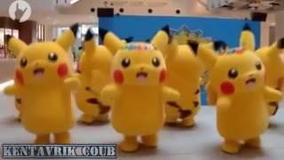 Pokemon go Kentavrik COUB Выпуск 1