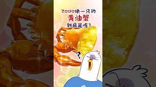 【小魔】2000块一只的黄油蟹，到底是啥？#shorts