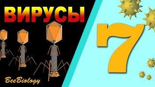 ВИРУСЫ • СТРОЕНИЕ бактериофага, ВИЧ •