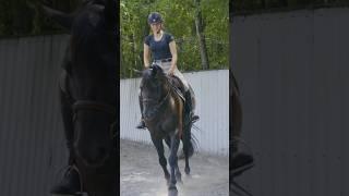 Fern warming up before our Chase me charlie.#equestrianjourney #horse #horsefan #horsetrack #pony