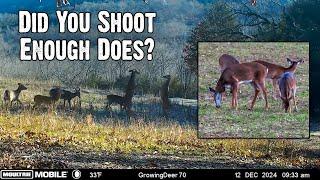 Did You Shoot Enough Does? Late-Season Scouting and Doe Harvest Management