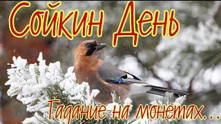 11 декабря НАРОДНЫЙ ПРАЗДНИК Сойкин День. Сойка - вещунья. Гадание на манетах. Что нельзя делать.