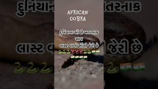 દુનિયાના સૌથી ખતરનાક સાપ #snake #trending #funny #viralshorts #shorts #gujaraticomedy #funnyshorts