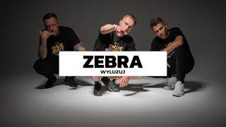 Zebra - Wyluzuj [Non Official Video] #czerwin #dudekp56 #inkgp56 #wyluzuj [4K]