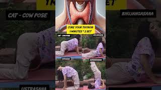 ️️Cure Your Periods And infertility Issue With This New Yog Asana #yoga #asana #pcod #infertility