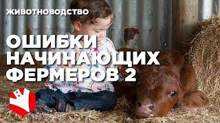 Ошибки начинающих фермеров 2 | Ферма с нуля | Философия фермера | Мясное животноводство