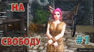 The Elder Scrolls 5 Skyrim Прохождение на русском  (НА СВОБОДУ)  #1