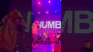 @NUMBTHC at Bloodaxe Festival 2025