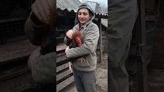 Ваше па️ую #запоріжжя #україна #selhozperedelkin #farming