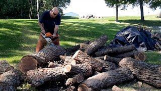 Turning Black Walnut into Firewood